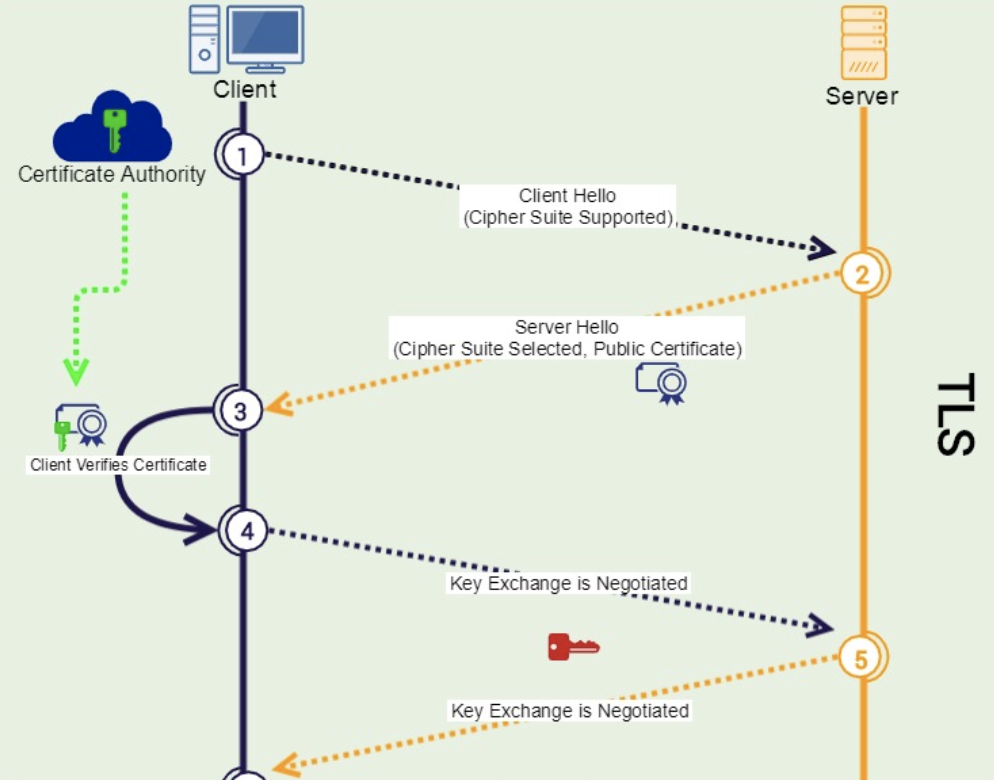 Screenshot of TLS structure model
