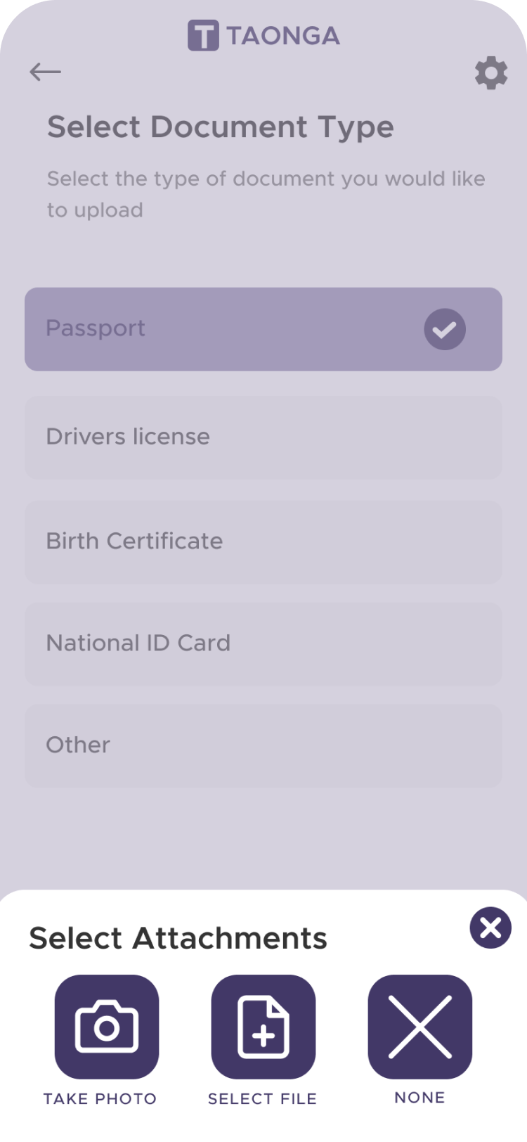 Screenshot of capturing your document